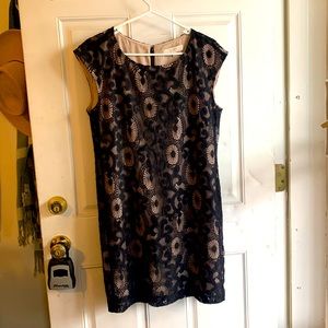 Lace Black and Tan dress
